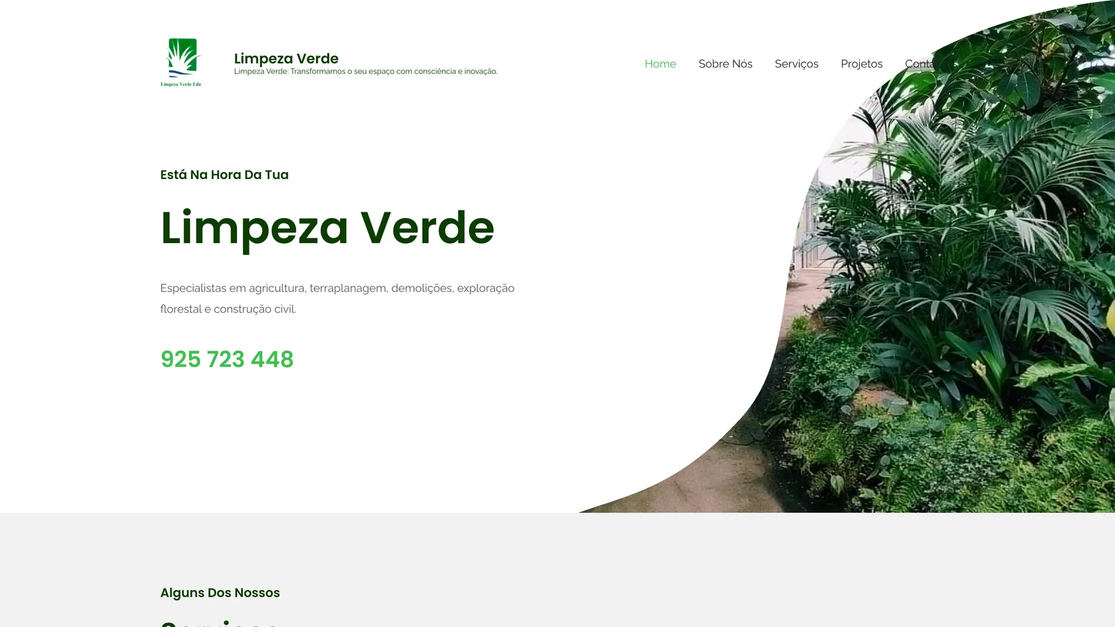 Website Limpeza Verde
