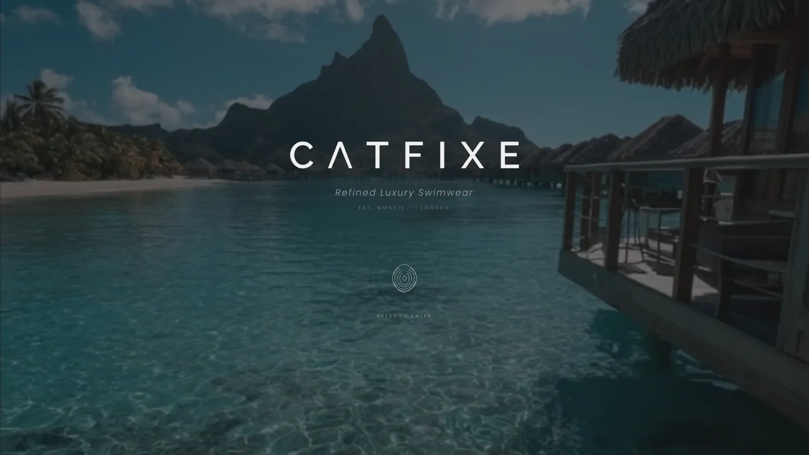 Website Catfixe London