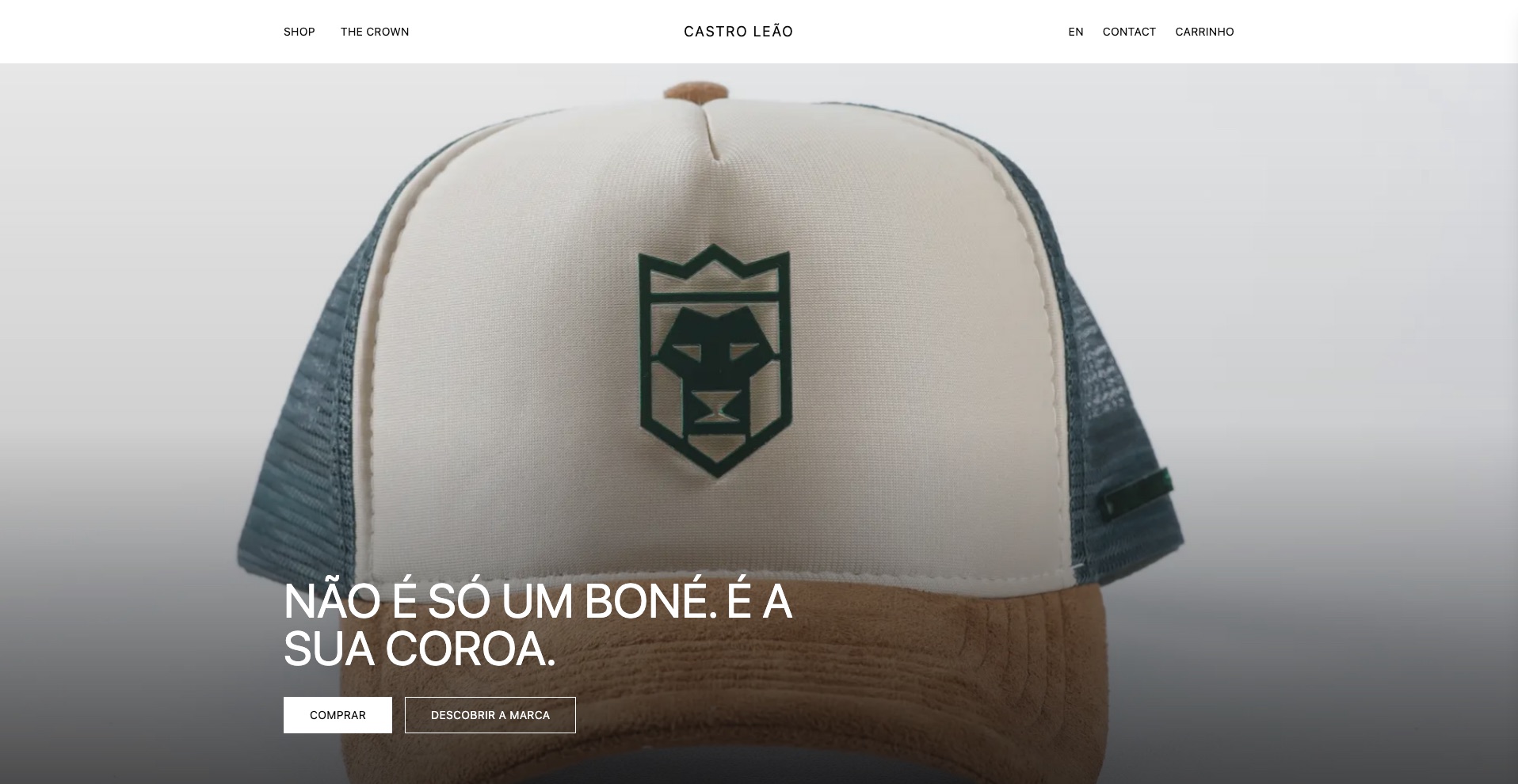 Website Castro Leão