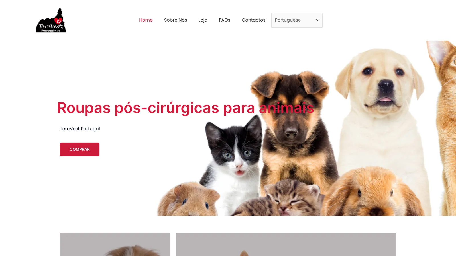 Website TereVest Portugal